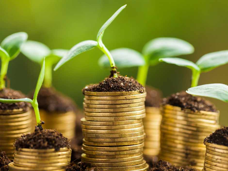 VIV contributes 10% of our revenue to the VIV Impact Fund in order to help underprivileged customers, small businesses, start-ups, social enterprises, and not-for-profit organizations access our coaching services at affordable rates.